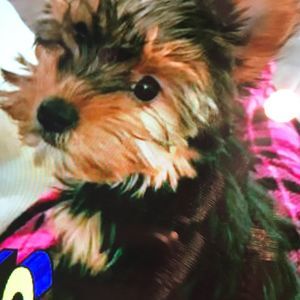 Meet your Posher, Kathy